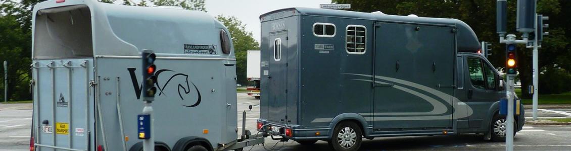 Horsebox